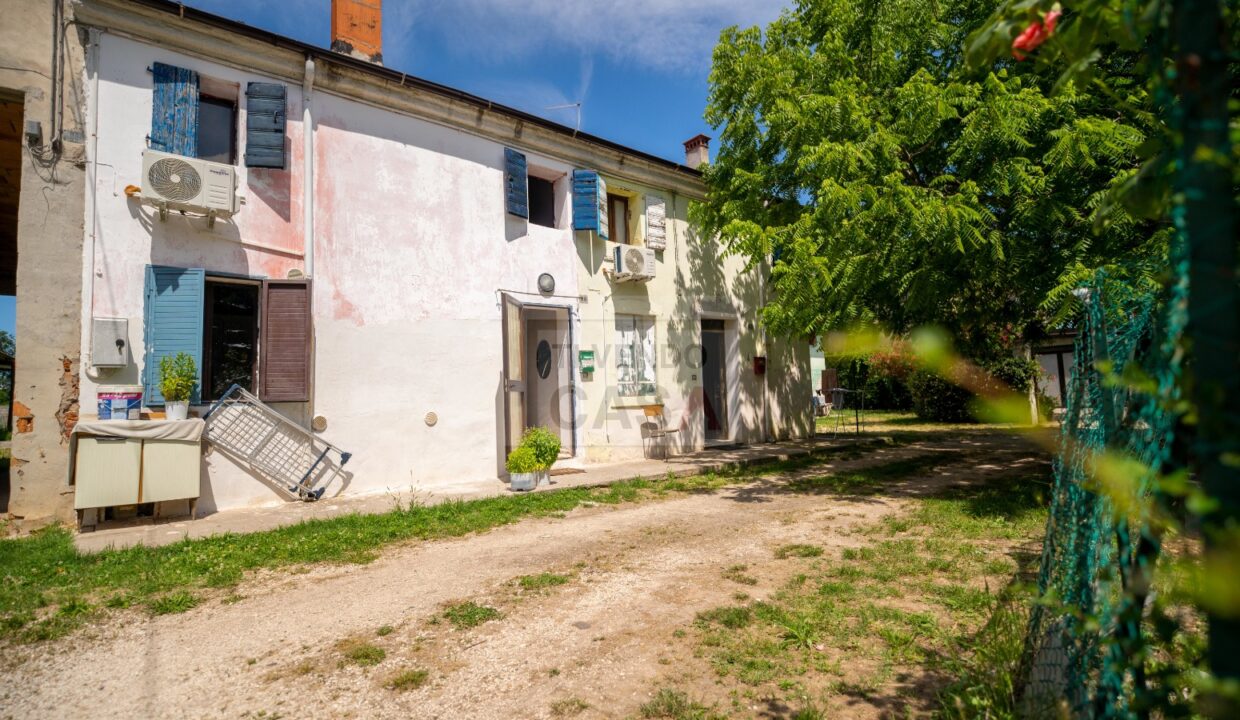 842-3023031