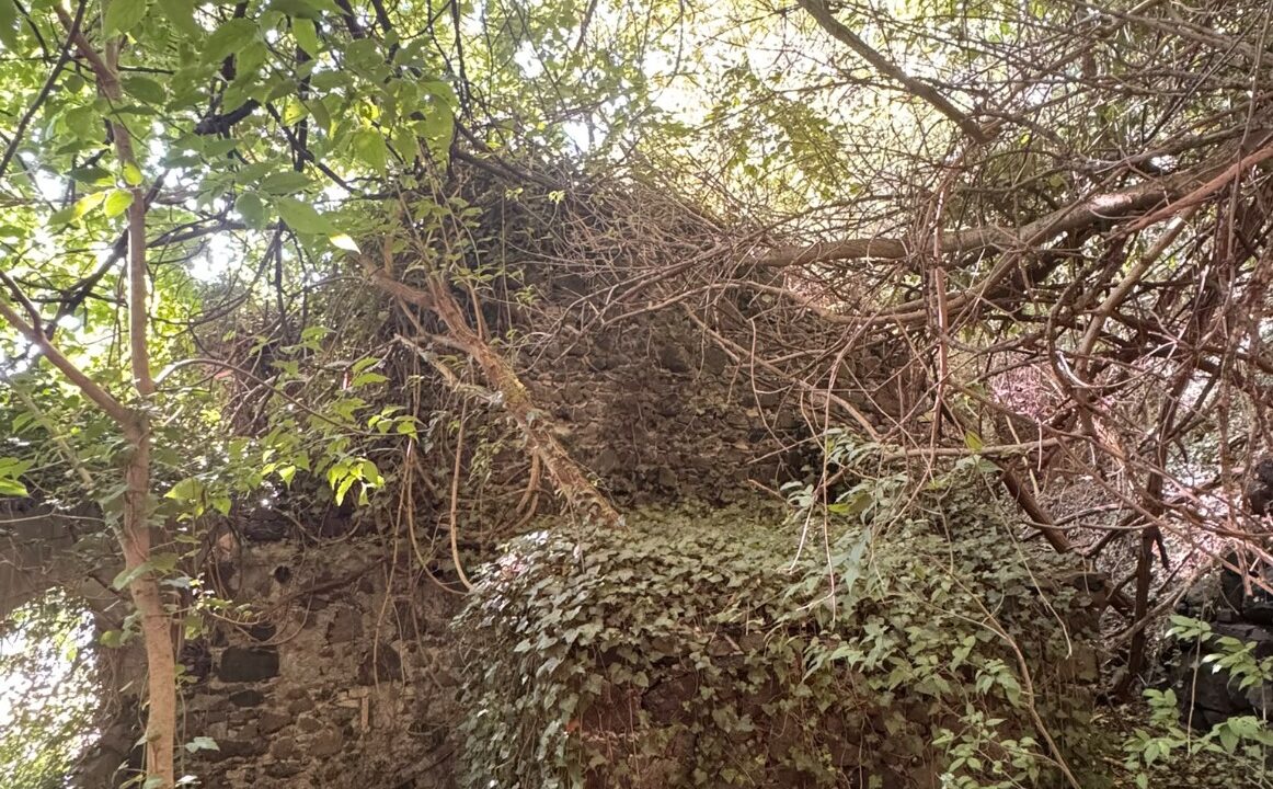 842-3114344
